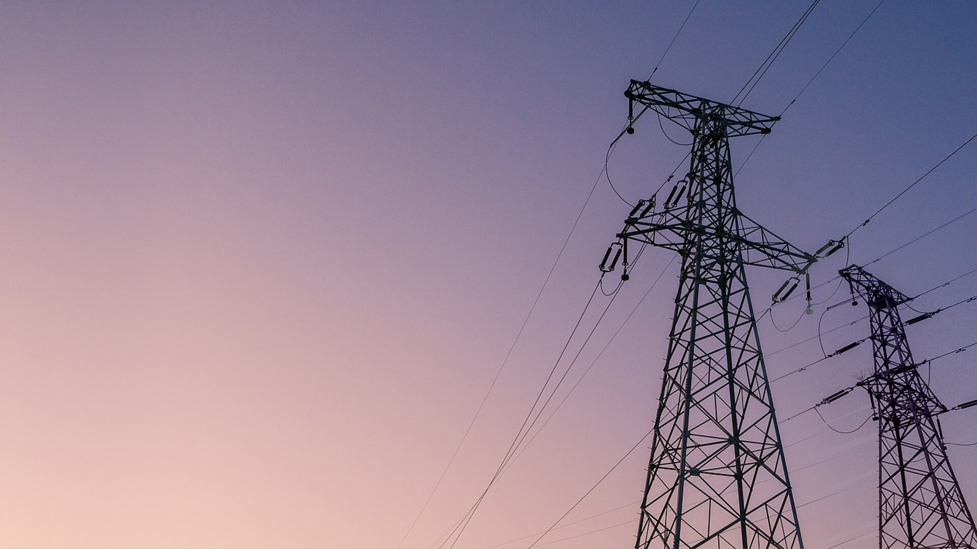 ���͵羺(vkgame)