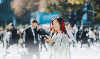 ����ʶ��