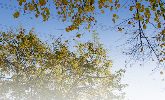 ����ʵʱ���